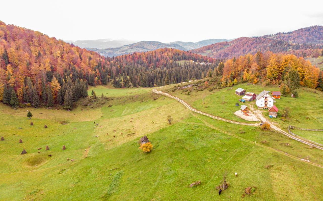 Pensiunea Poarta Lui Ionele Gîrda de Sus Exterior foto