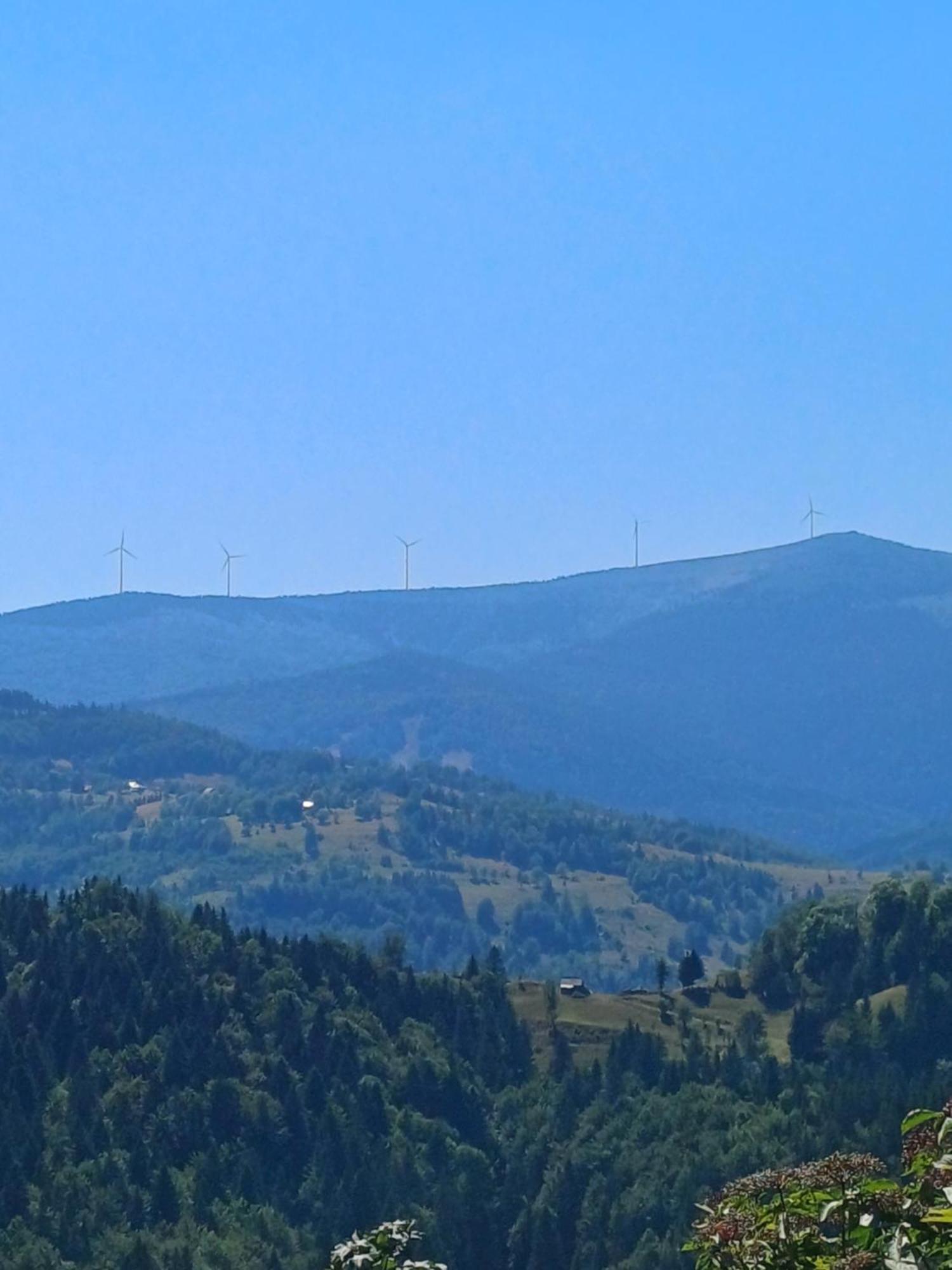 Pensiunea Poarta Lui Ionele Gîrda de Sus Exterior foto